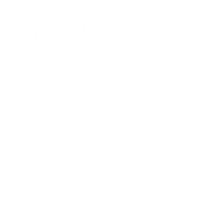 Bright Light Coaching